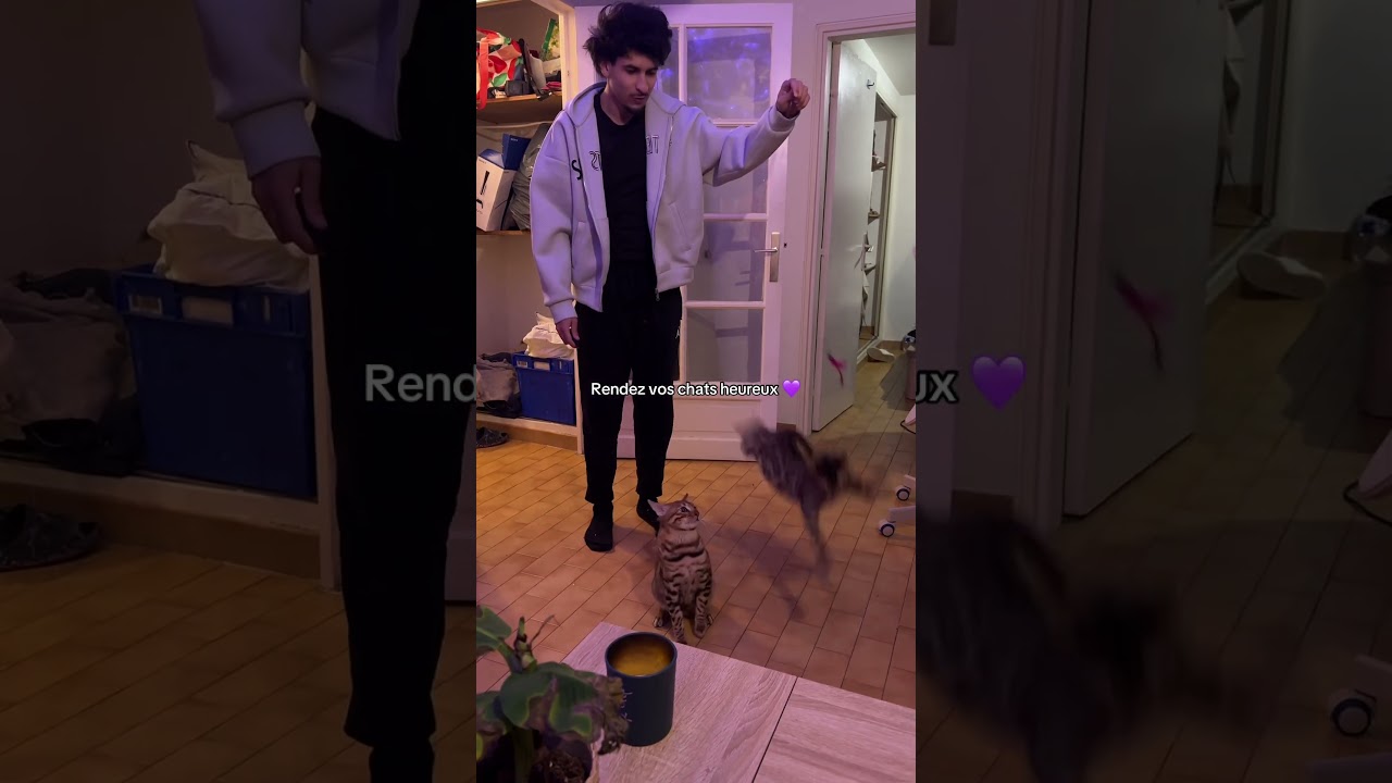 #bengal #cat #love #cute #youetloulou