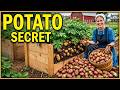 The Amish Potato Method That Grows 100 Pounds In 4 Square Feet 
