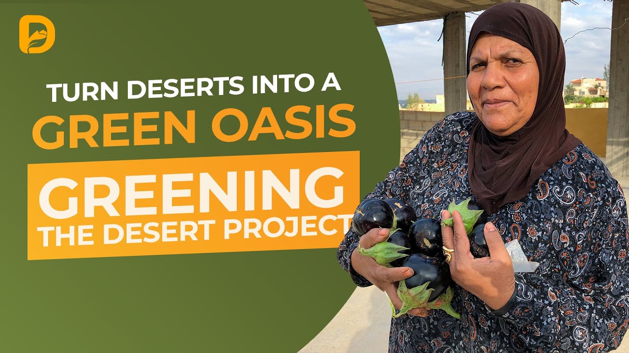 Humans Have the Potential to Turn Deserts into a Green Oasis - YouTube