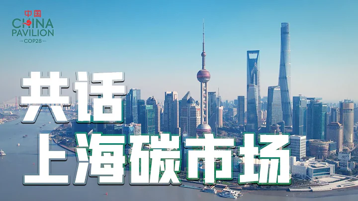 共话上海碳市场，推动城市绿色低碳高质量发展！ - 天天要闻