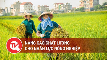 Nâng cao chất lượng cho nhân lực nông nghiệp | Truyền hình Quốc hội Việt Nam
