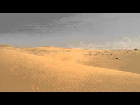 Desert Wildlife drive at Dubai Desert Conservation Reserve