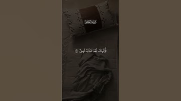 قرآن كريم القارئ ماهر المعيقلي #راحة_نفسية #متابعه #اكسبلور #قرآن_كريم