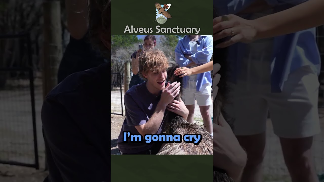 Stompy Hugs w/ Smosh 🫂  #alveussanctuary #smosh #mayahiga
