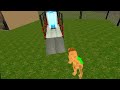 Animal Rescue 3D Long Slide Game With Lion Animal 