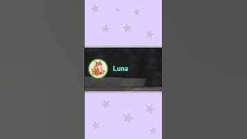 Dungeons Team Communications Be Like...😂💀 #shorts #minecraft #hypixel #hypixelskyblock #funny