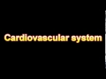 What Is The Definition Of Cardiovascular system Medical Dictionary Free Online