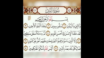سورة التين بصوت الشيخ ماهر المعيقلي