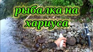 Рыбалка на реке Бия 👆