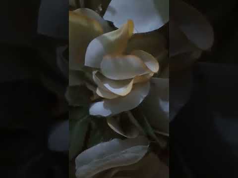 اخاف عليه واخاف منه بصوتي