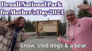 Denali National Park for Mother's Day 2024 | Alaskan Bears Vlog