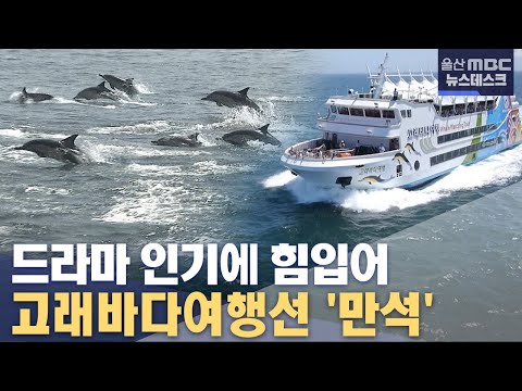 드라마 인기 힘입은 고래바다여행선 만석 행진 2022 08 02 뉴스데스크 울산mbc 