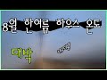 한여름 하우스 안 온도???