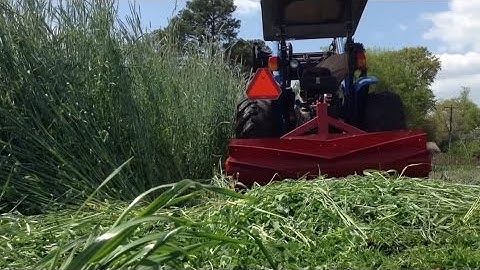 Chapter 4 - The Great Cover Up: How Nature Protects and Enriches the Soil