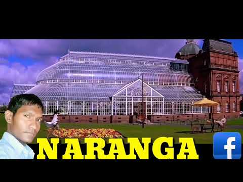 Paa Liya Hai Pyar Tera Lyrics Song