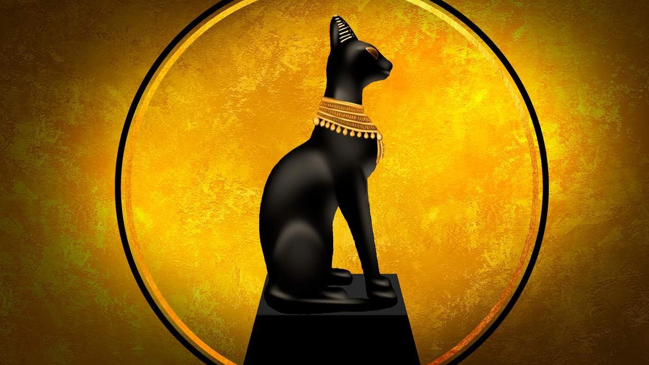 On Sait Enfin Pourquoi Les Chats Etaient Veneres Dans L Egypte Antique Youtube