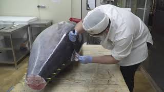 250Kg premium raw tuna dismantling show 참치 해체의 달인 김씨마구로 250Kg 최고급 생참치 해체쇼 / Korean street food
