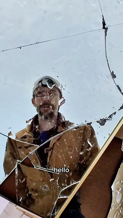 Download lagu Discount store #dumpsterdiving