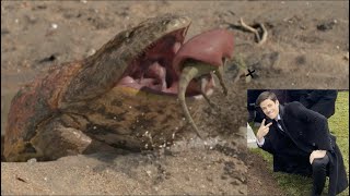 Every Baby Animal Death In Prehistoric Planet Meme