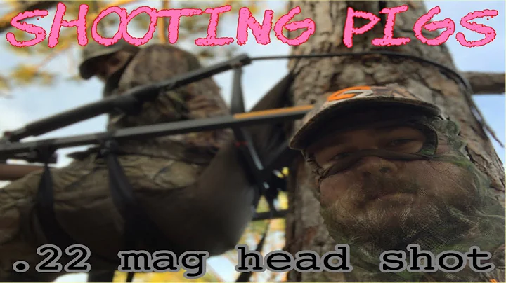 Florida Hog hunt .22 mag head shot