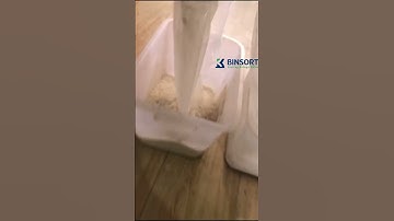 rice color sorting video with excellent low first reject