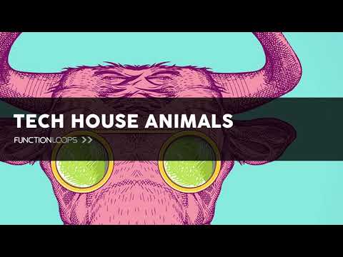 Tech House Loops & Samples - TECH HOUSE ANIMALS - Royalty Free Samples, Loops, MIDI, FX & Vocals