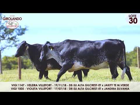 Lote 30   VIGI 1005 e VIGI 1147