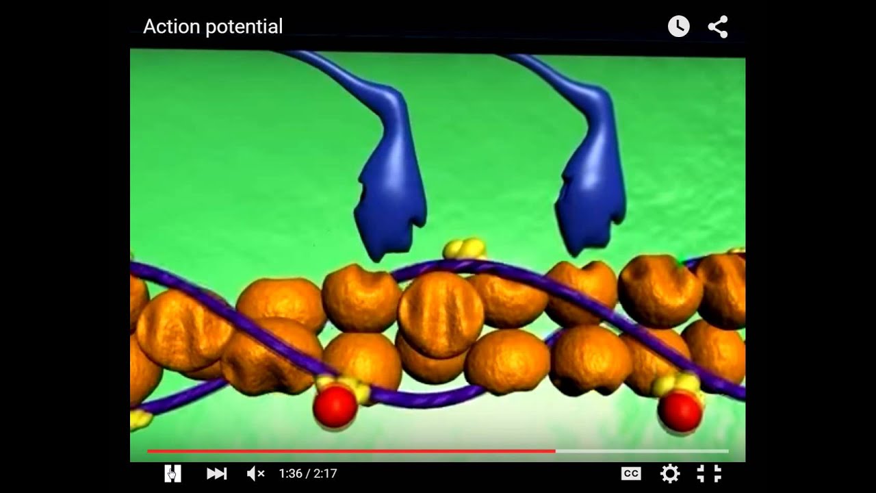Advanced A P 10 26 15 YouTube advanced-a-p-10-26-15-youtube