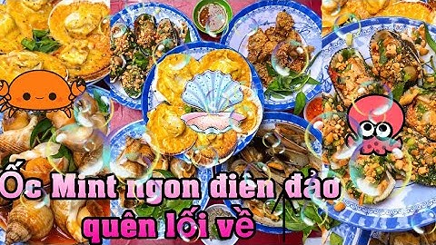 ỐC MINT NGON ĐẢO ĐIÊN CHO TEAM MÊ ỐC NẠ | CÀN QUÉT SÀI GÒN