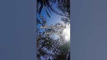 احترم القرآن الكريم دقيقة واحدة #اكسبلور #المصحف #لايك #الرحمن #قران_كريم