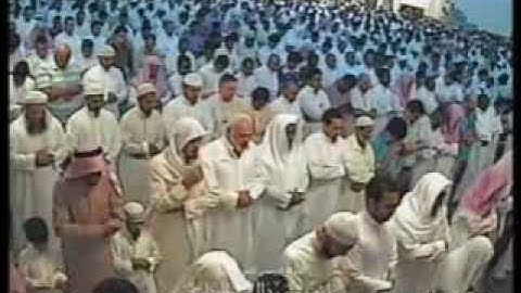 سورة مريم للشيخ هاني الرفاعي  - اخراج هشام الغامدي