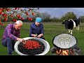 Grandpa Harvested Black Hawthorn Berries from Forest | 1 Hour of the Best Harvesting Videos