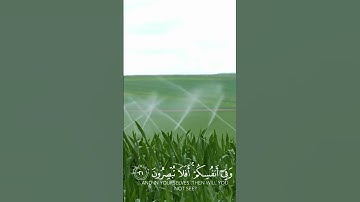 تلاوة هادئة مريحة للنفس | حالات واتس اب قرءان خاشعة ومؤثرة