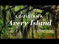 Avery Island, Louisiana