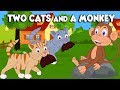 Monkey and Two Cats English Moral Stories for Kids | English Fairy Tales for Toddlers