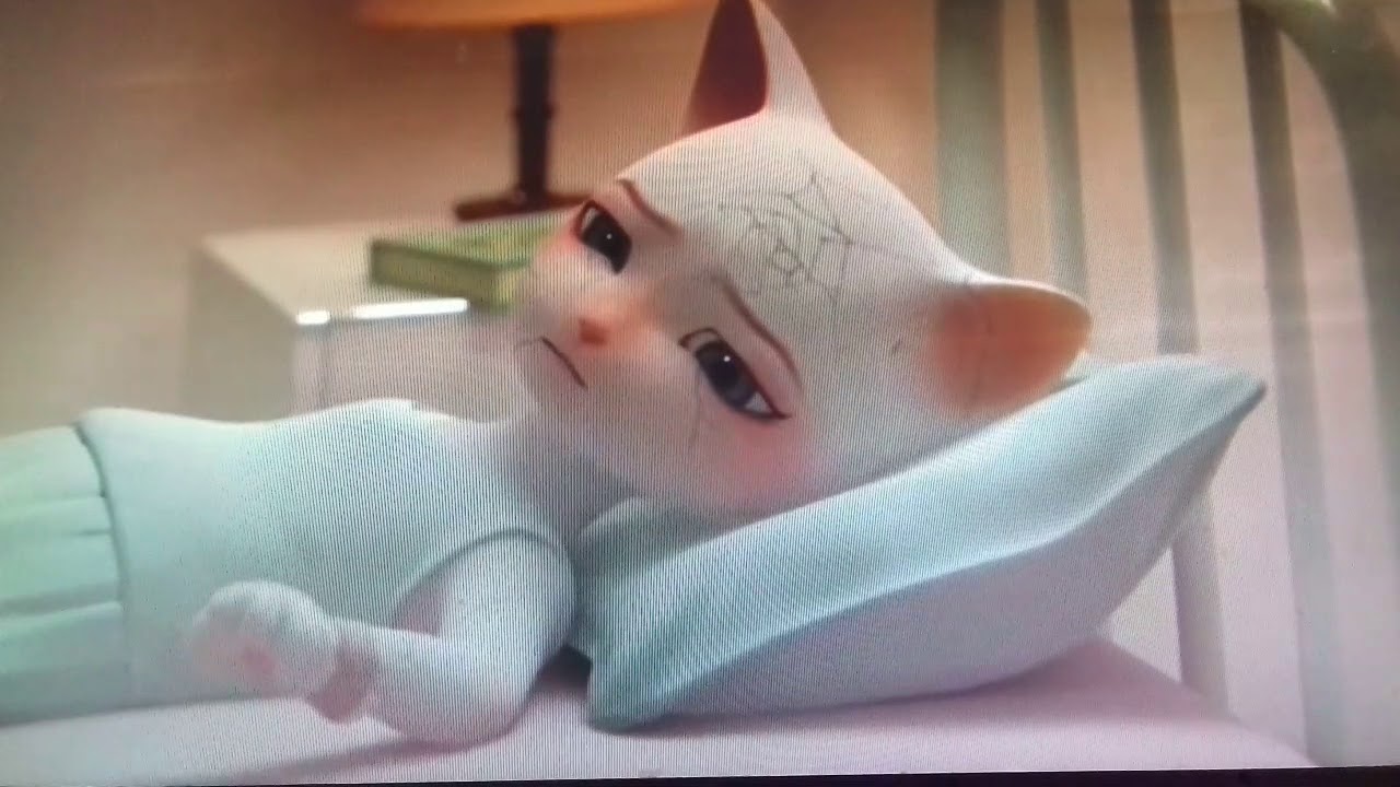 Tente N o Chorar Buaa TRY NOT TO CRY YouTube