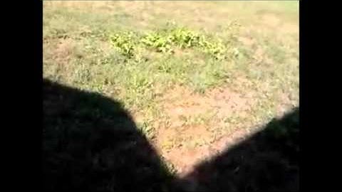 My piggybank can fly ♠♣