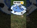poor pool...😥 #chicken #homestead #pool #poorpool #rip #jesus #viral #shorts