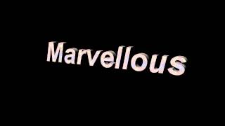 Video thumbnail of "The Lightning Seeds - Marvellous"