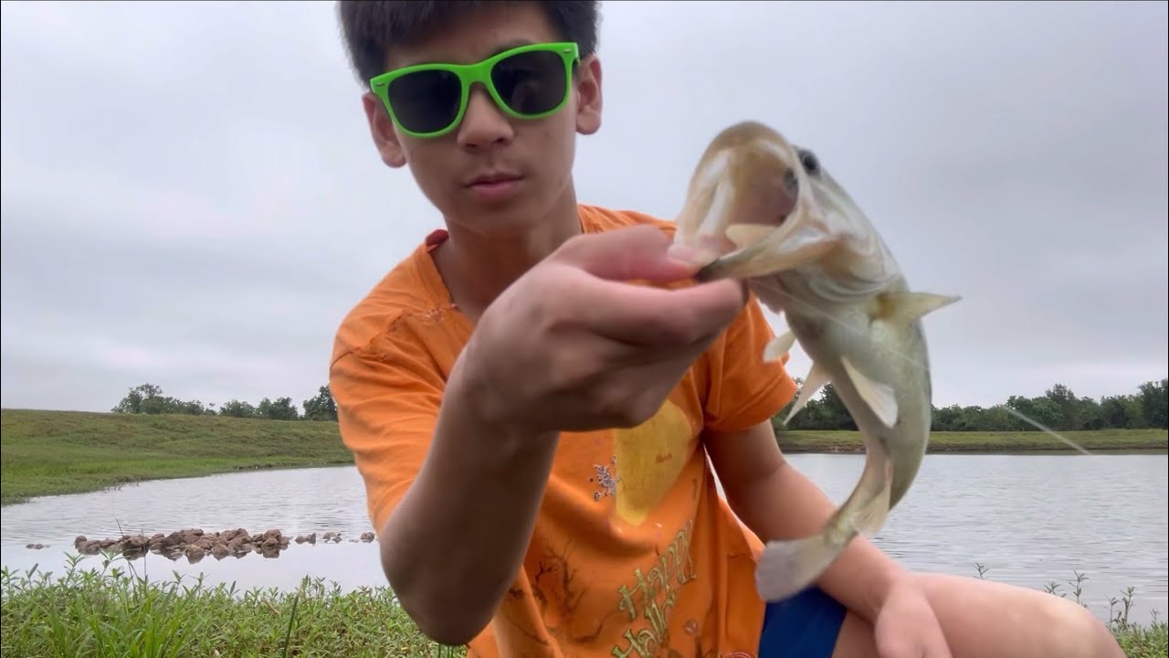 Bass Slayerbait
