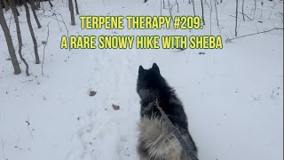 Terpentherapie #209: Eine seltene Schneewanderung mit Sheba