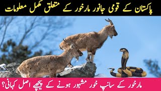 National Animal of Pakistan Markhor | پاکستان کا قومی جانور مارخور | Urdu/Hindi