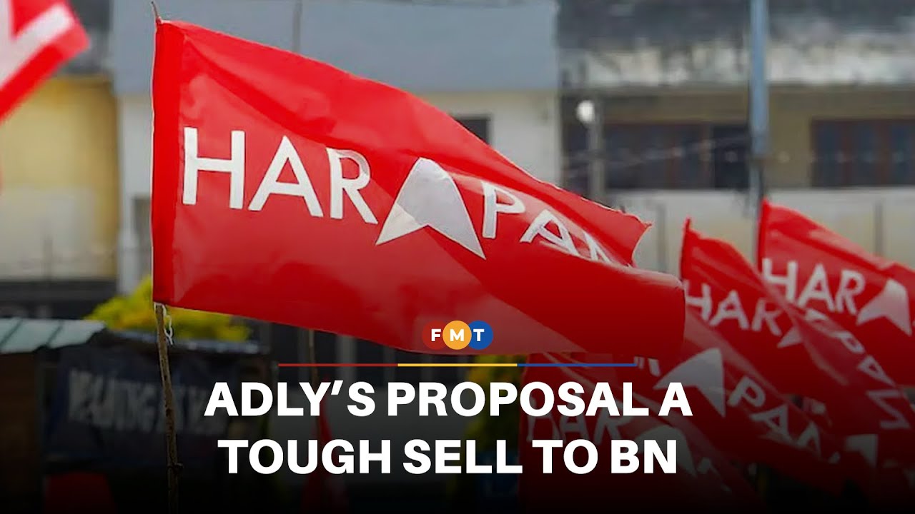 Adly’s appointed reps proposal a tough sell to BN, says analyst