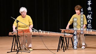 細棹　練習用三味線　破れなし　送料込み Amazon | SUZUKI スズキ 細棹三味線セット かえで 木製+樹脂製