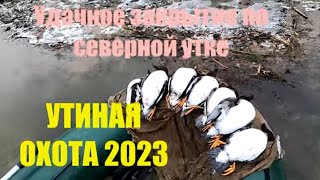 Утиная охота 2023. Закрытие сезона. Классическая охота с чучелами.