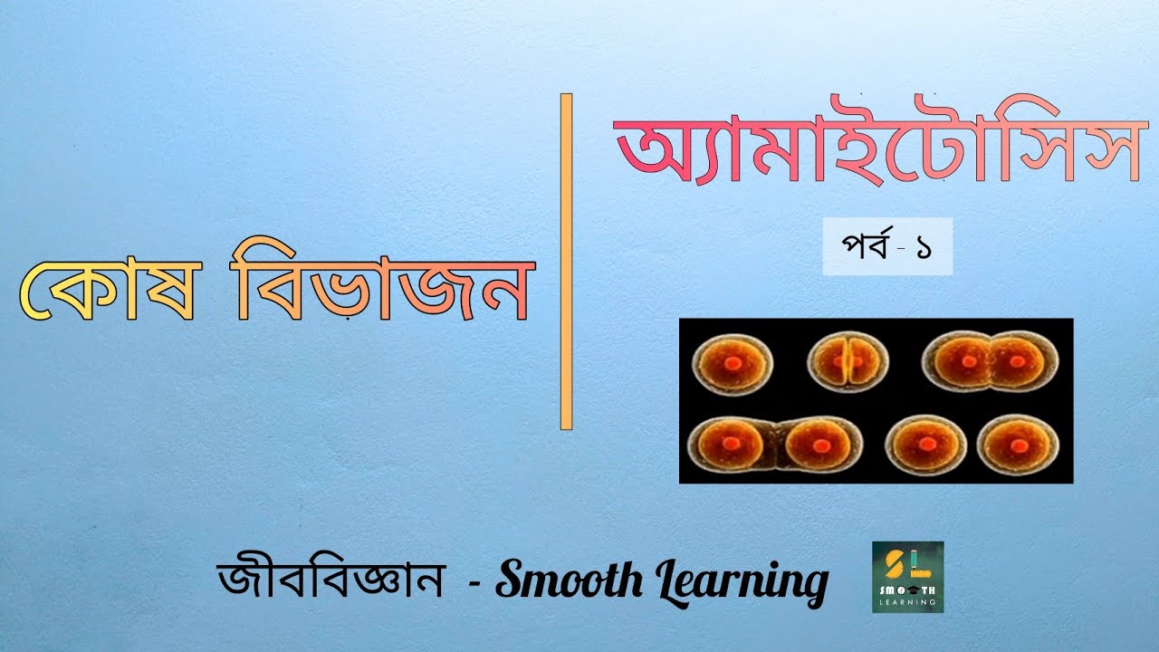 HSC Biology 1st Paper 2nd Chapter ( কোষ বিভাজন : অ্যামাইটোসিস) পর্ব - ১