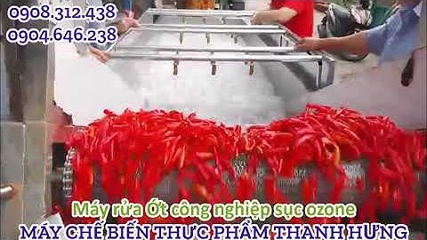 MÁY RỬA ỚT CÔNG NGHIỆP SỤC OZONE - MÁY RỬA NÔNG SẢN, TRÁI CÂY ĐẠT SIÊU THỊ, XUẤT KHẨU - GIÁ XƯỞNG