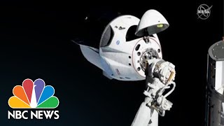 Watch Live: SpaceX's Crew Dragon Capsule Returns From International Space Station | NBC News