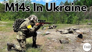 M14 In Ukraine
