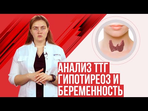 Гормон ТТГ при беременности и гипотиреоз. Щитовидная железа. Профилактика йододифицита у беременных